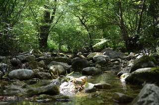 Дома для отпуска Village House 1980 Вирпазар Дом с 2 спальнями-28