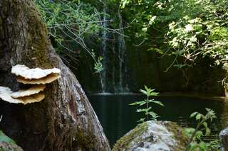 Дома для отпуска Village House 1980 Вирпазар Дом с 2 спальнями-35