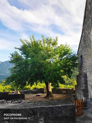 Дома для отпуска Village House 1980 Вирпазар Дом с 2 спальнями-69