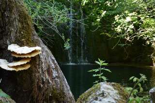 Дома для отпуска Village House 1980 Вирпазар Дом с 2 спальнями-83